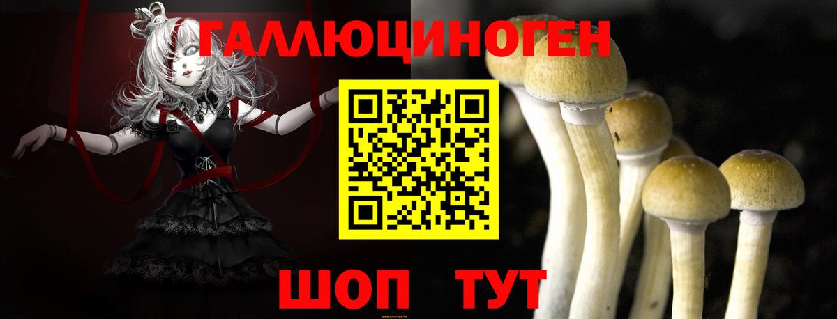 Галлюциногенные грибы Psilocybe Лабытнанги